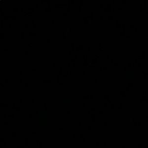 Meet your Posher, Cecilia